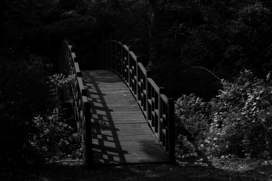 2013 06 09 IMG 09781ebw